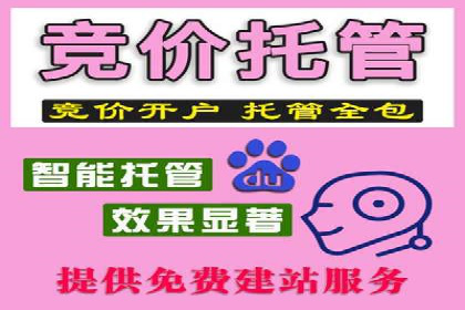 SEM服务托管实战案例：优化效果显著